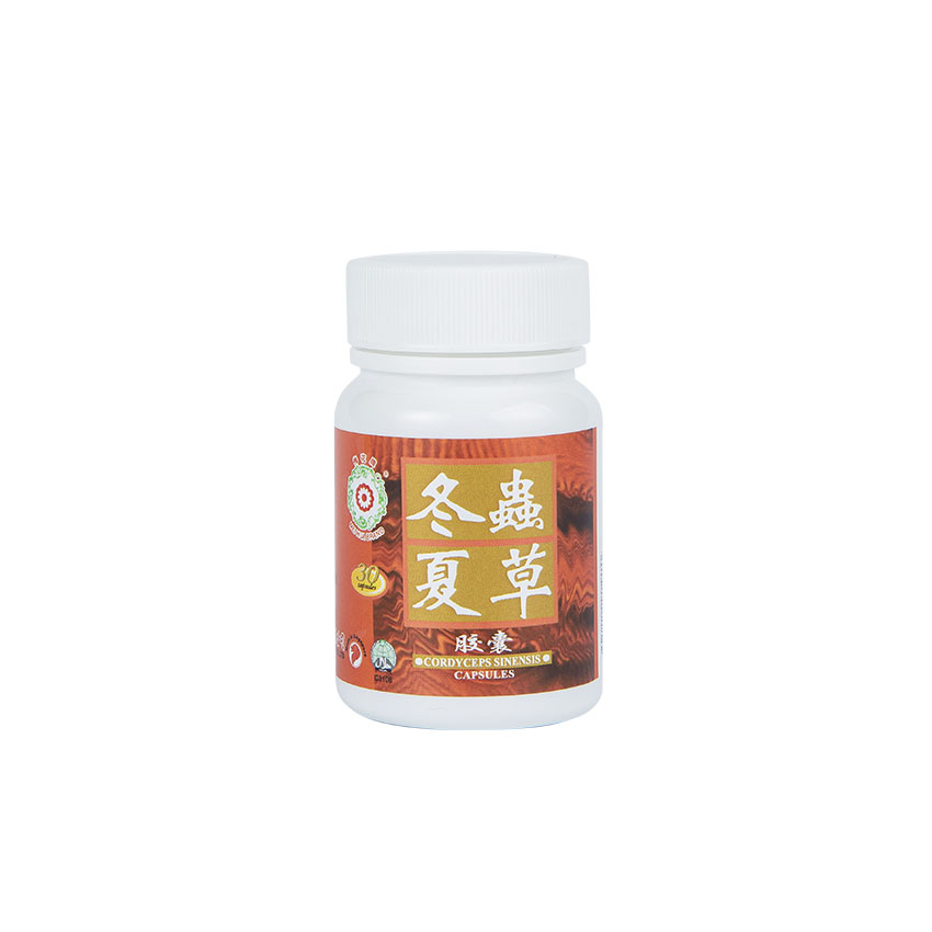 Cordyceps Sinensis (30/ 300 Capsules)
